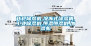 转轮除湿机,冷冻式除湿机,工业除湿机,恒温恒湿机,加湿机