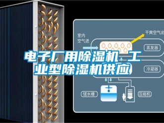 常见问题电子厂用除湿机 工业型除湿机供应
