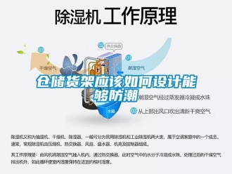 企业新闻仓储货架应该如何设计能够防潮