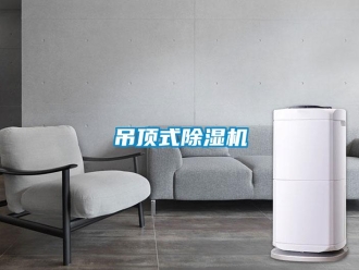 企业新闻吊顶式除湿机