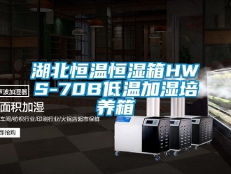 知识百科湖北恒温恒湿箱HWS-70B低温加湿培养箱