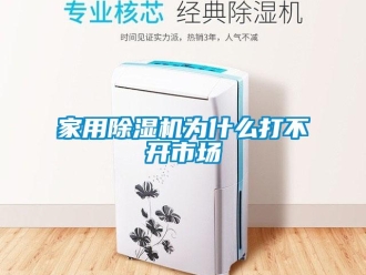 行业新闻家用除湿机为什么打不开市场