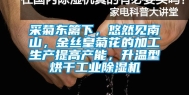 采菊东篱下，悠然见南山，金丝皇菊花的加工生产提高产能，升温型烘干工业除湿机