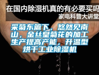 企业新闻采菊东篱下，悠然见南山，金丝皇菊花的加工生产提高产能，升温型烘干工业除湿机