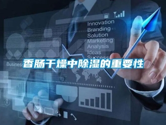 知识百科香肠干燥中除湿的重要性