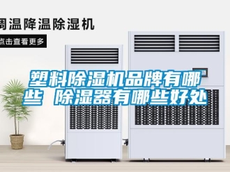 企业新闻塑料除湿机品牌有哪些 除湿器有哪些好处