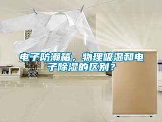 常见问题电子防潮箱，物理吸湿和电子除湿的区别？