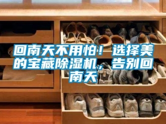 行业新闻回南天不用怕！选择美的宝藏除湿机，告别回南天