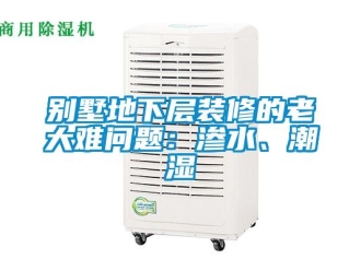 企业新闻别墅地下层装修的老大难问题：渗水、潮湿