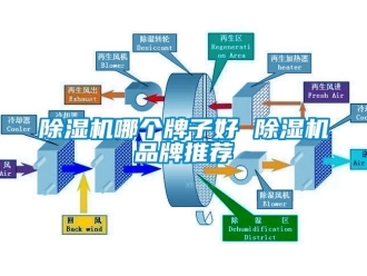 企业新闻除湿机哪个牌子好 除湿机品牌推荐