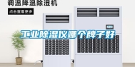 工业除湿仪哪个牌子好