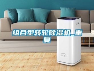 常见问题组合型转轮除湿机_重复