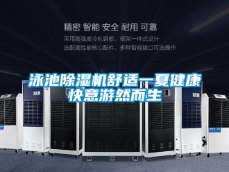 行业新闻泳池除湿机舒适一夏健康快意游然而生