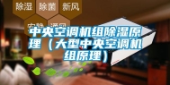 中央空调机组除湿原理（大型中央空调机组原理）