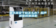 夏天蔬菜干枯怎么办？超声波保鲜加湿机