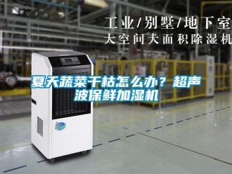 常见问题夏天蔬菜干枯怎么办？超声波保鲜加湿机