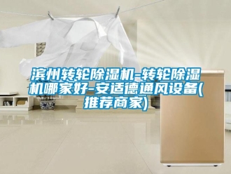 常见问题滨州转轮除湿机-转轮除湿机哪家好-安适德通风设备(推荐商家)