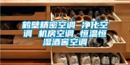 鹤壁精密空调 净化空调 机房空调 恒温恒湿酒窖空调