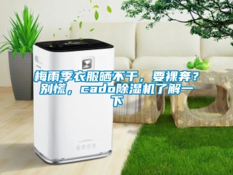 行业新闻梅雨季衣服晒不干，要裸奔？别慌，cado除湿机了解一下