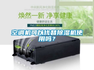 行业新闻空调机可以代替除湿机使用吗？