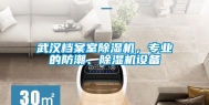 武汉档案室除湿机，专业的防潮、除湿机设备