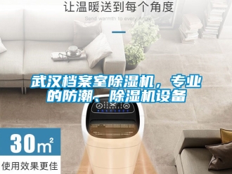 行业新闻武汉档案室除湿机，专业的防潮、除湿机设备