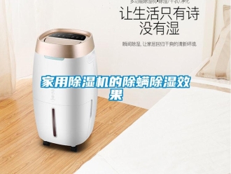 行业新闻家用除湿机的除螨除湿效果