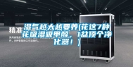 湿气越大越要养(花这7种花吸湿吸甲醛，1盆顶个净化器！)
