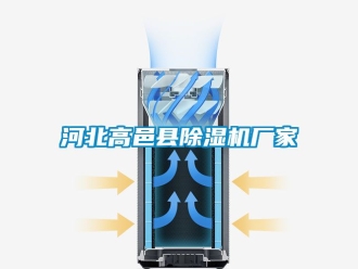 企业新闻河北高邑县除湿机厂家