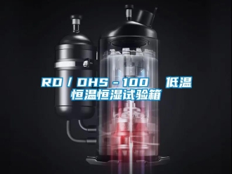 常见问题RD／DHS－100  低温恒温恒湿试验箱