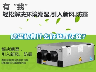 行业新闻除湿机有什么好处和坏处？