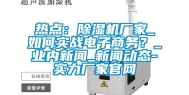 热点：除湿机厂家_如何实战电子商务？_业内新闻_新闻动态-实力厂家官网