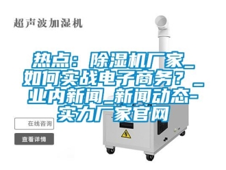 常见问题热点：除湿机厂家_如何实战电子商务？_业内新闻_新闻动态-实力厂家官网