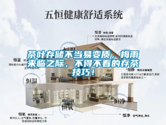 企业新闻茶叶存储不当易变质，梅雨来临之际，不得不看的存茶技巧！