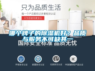 行业新闻哪个牌子的除湿机好？品质与服务不可缺其一