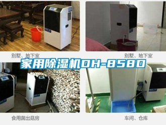 常见问题家用除湿机DH-858D