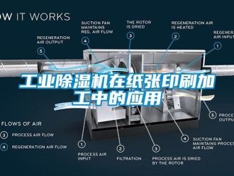 企业新闻工业除湿机在纸张印刷加工中的应用
