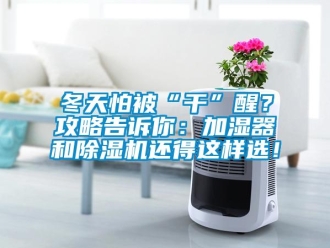 企业新闻冬天怕被“干”醒？攻略告诉你：加湿器和除湿机还得这样选！