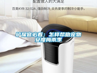 常见问题铲屎官必看：怎样帮助宠物安度梅雨季