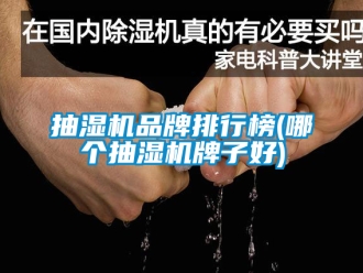 企业新闻抽湿机品牌排行榜(哪个抽湿机牌子好)