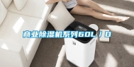 商业除湿机系列60L／D