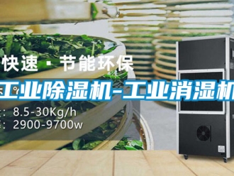常见问题工业除湿机-工业消湿机