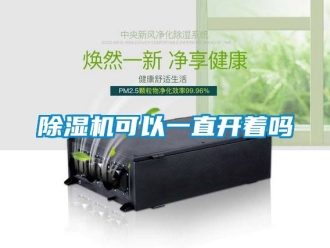 行业新闻除湿机可以一直开着吗