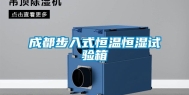 成都步入式恒温恒湿试验箱