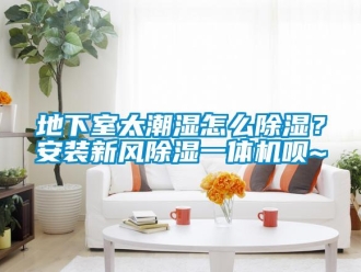 常见问题地下室太潮湿怎么除湿？安装新风除湿一体机呗~
