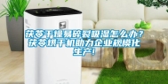 茯苓干燥易碎裂吸湿怎么办？茯苓烘干机助力企业规模化生产!