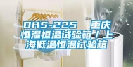 DHS-225  重庆恒湿恒温试验箱／上海低温恒温试验箱