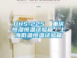 常见问题DHS-225  重庆恒湿恒温试验箱／上海低温恒温试验箱