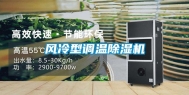 风冷型调温除湿机