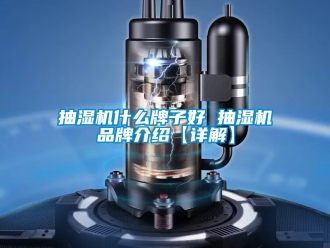 企业新闻抽湿机什么牌子好 抽湿机品牌介绍【详解】